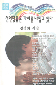 정경화 『선인장 꽃은 가시를 내밀고 있다』