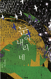 김미선 『눈이 내리네』