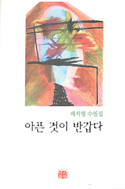 배석형 『아픈 것이 반갑다』 