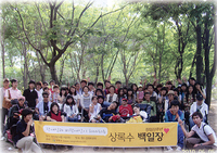 상록수