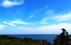 성하의 계절(제주 성산포)_최부암