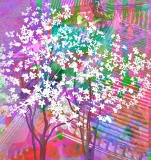 [김경희]5