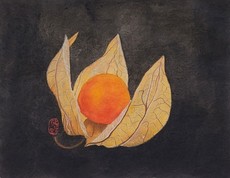 [한서희]10
